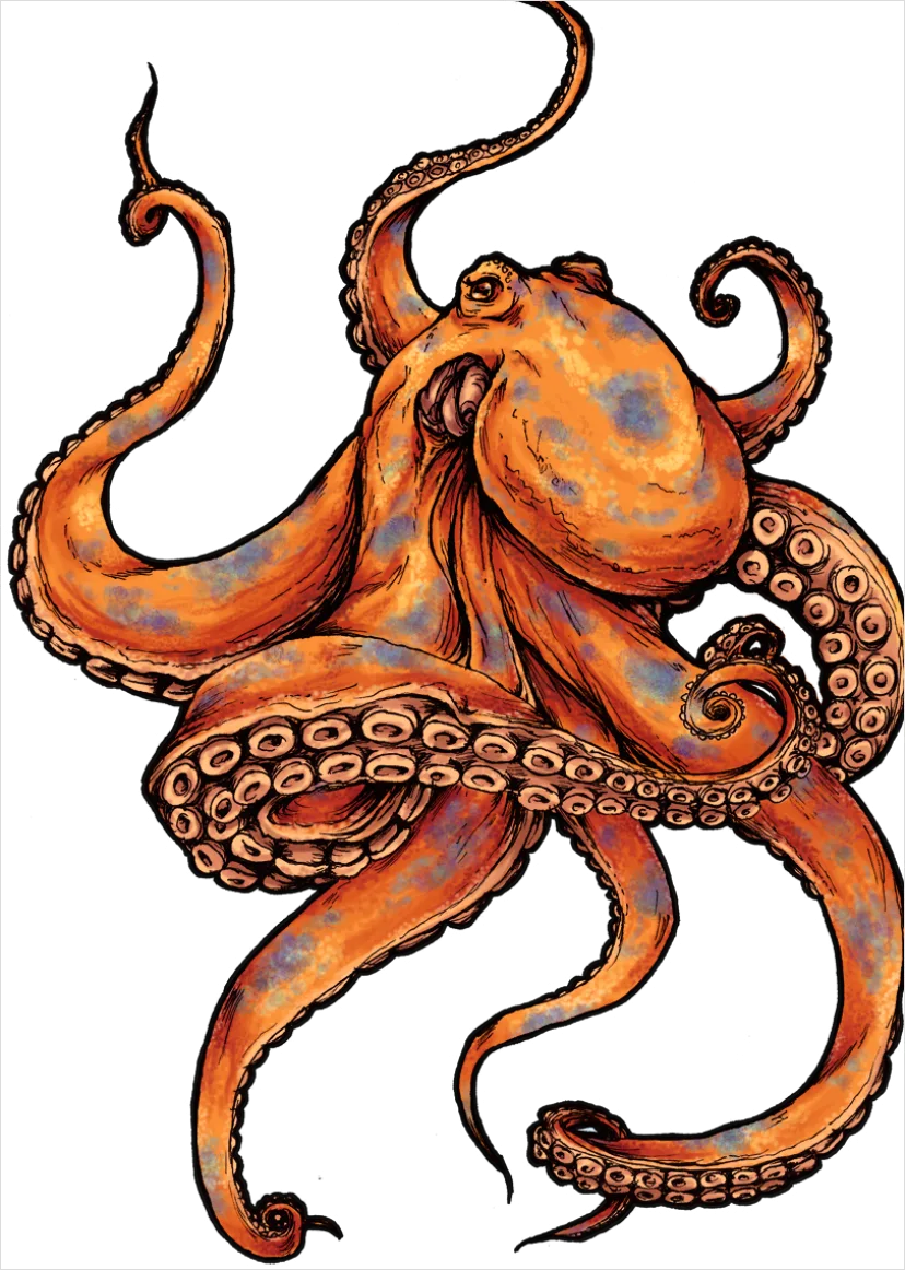 Detail Octopus Transparent Png Clipart Number 11