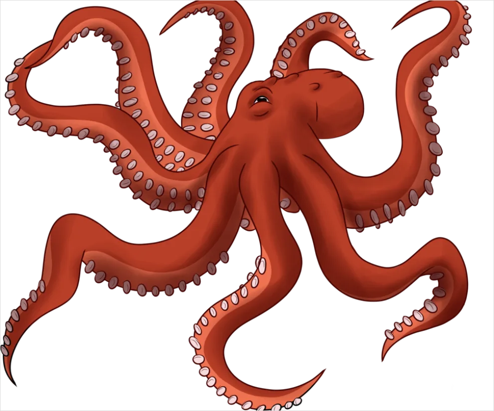 Detail Octopus Transparent Png Clipart Number 6