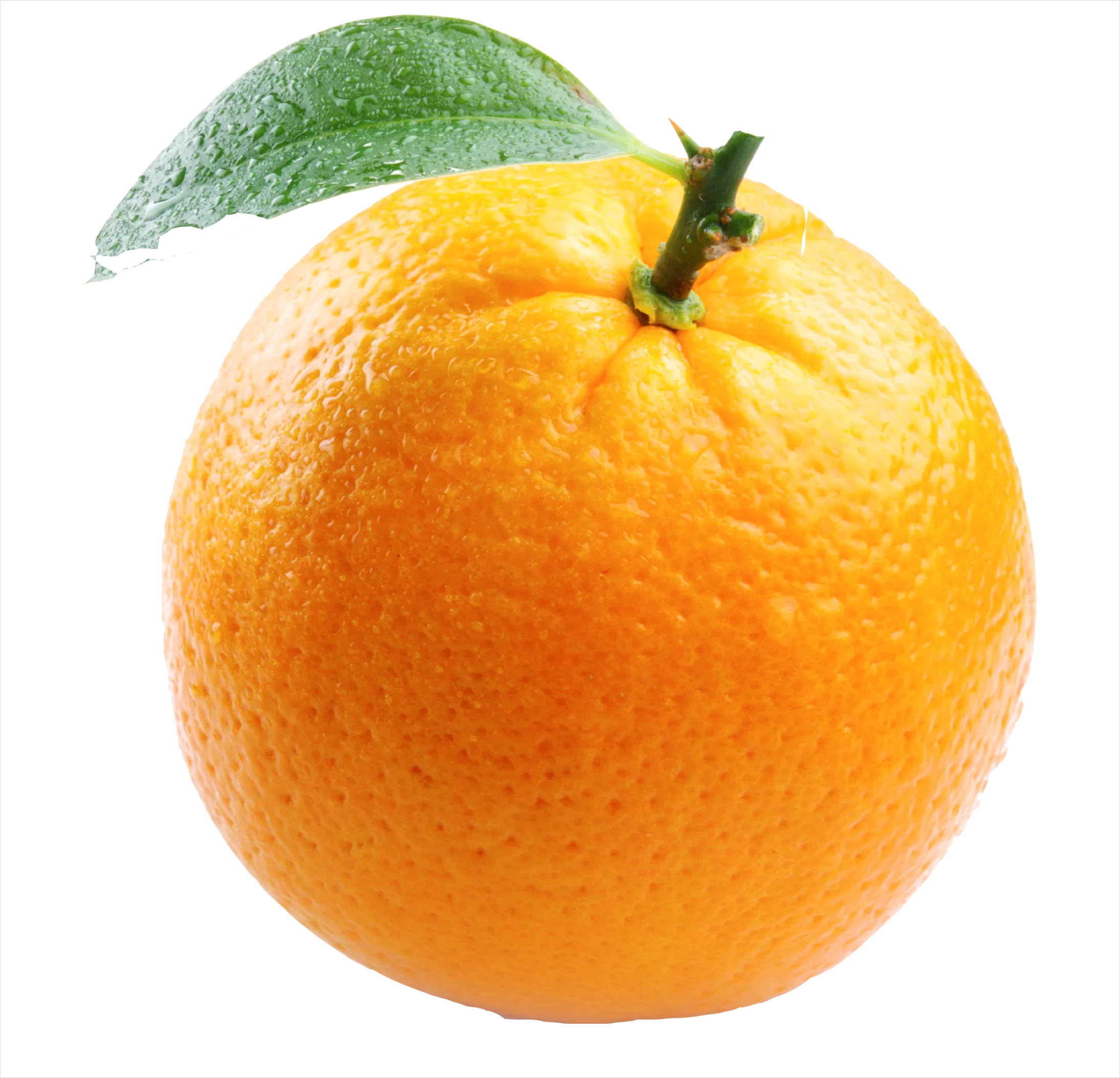 Detail Orange Transparent Png Number 2