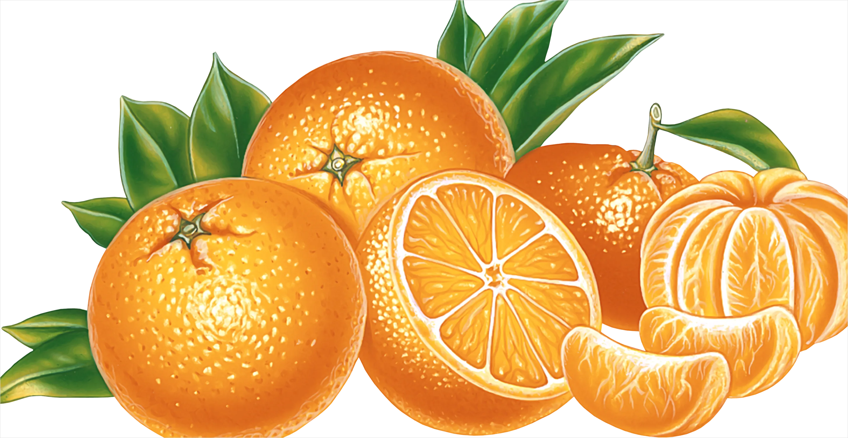 Detail Orange Transparent Png Number 11