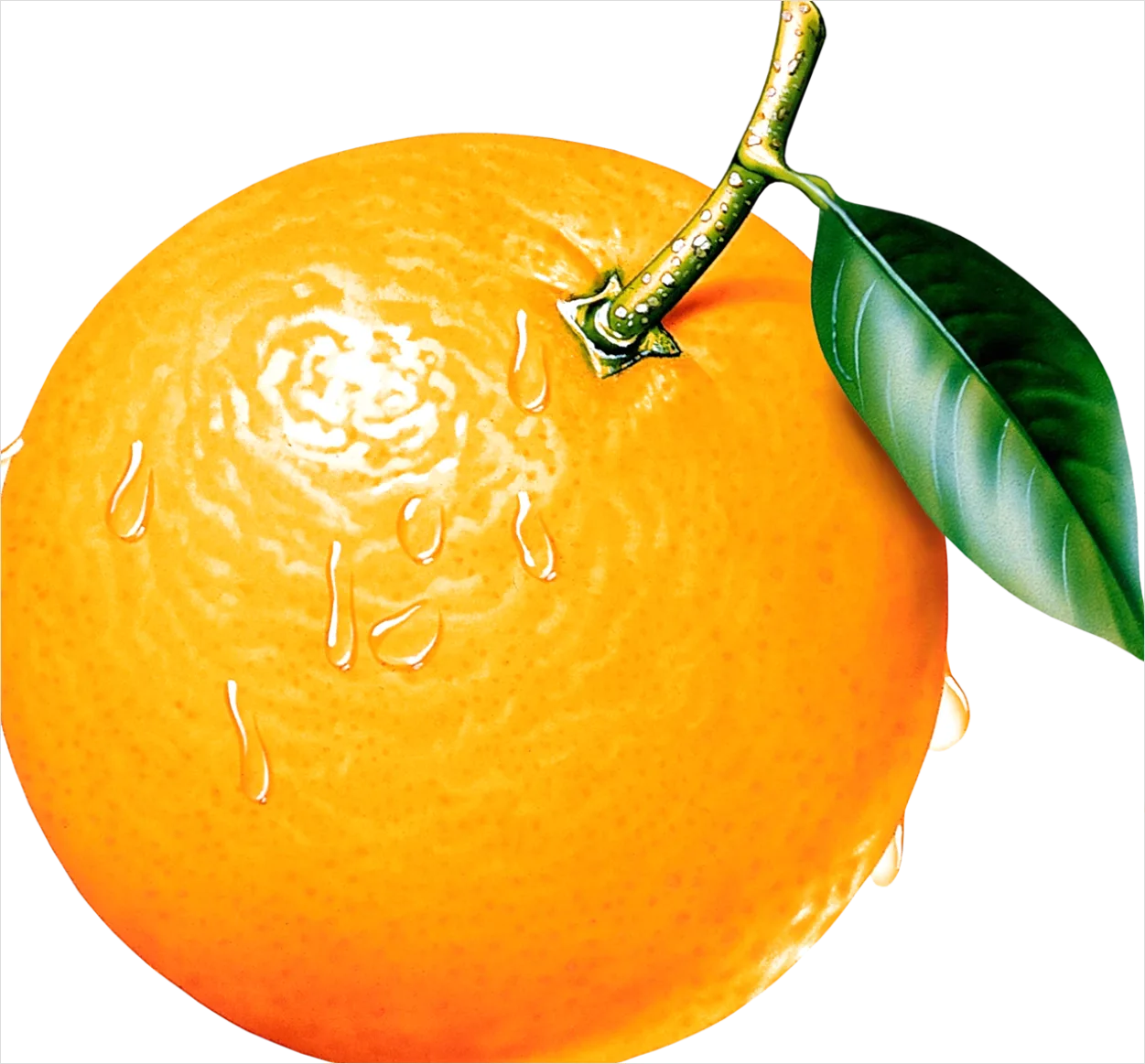 Detail Orange Transparent Png Number 12