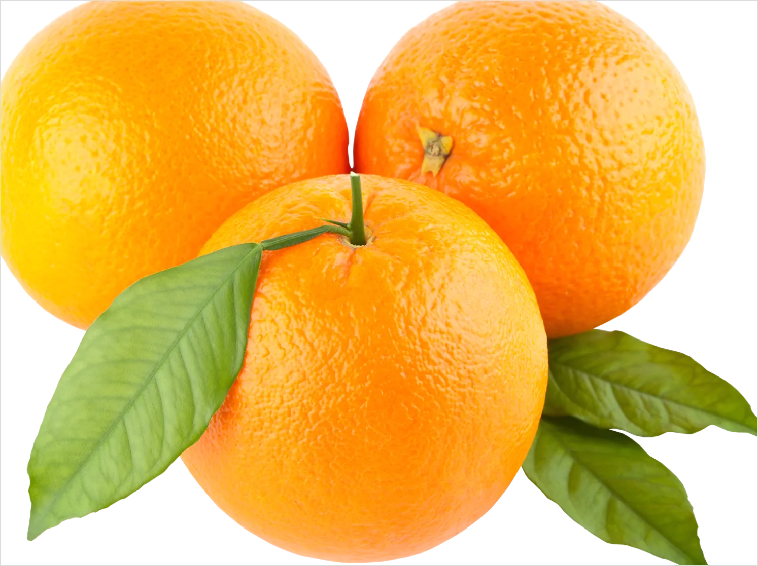Detail Orange Transparent Png Number 6