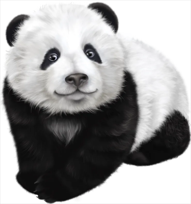 Detail Panda Transparent Png Clipart Number 8