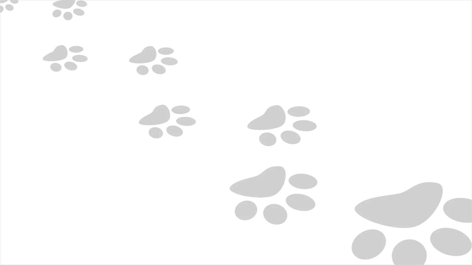 Detail Paw Print Transparent Png Number 11