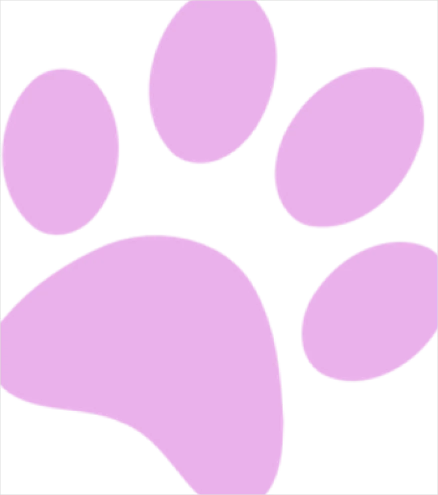 Detail Paw Print Transparent Png Number 16