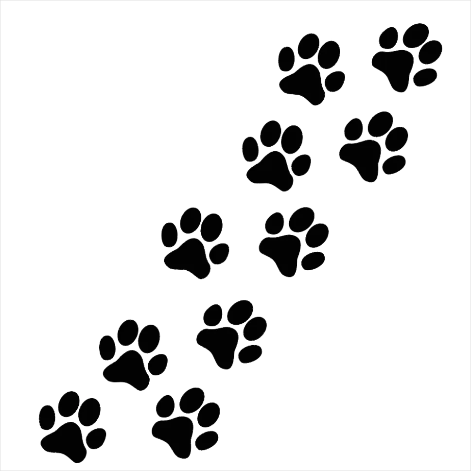 Detail Paw Print Transparent Png Number 4