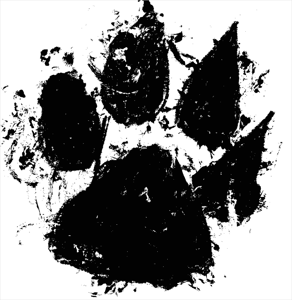 Detail Paw Print Transparent Png Number 8