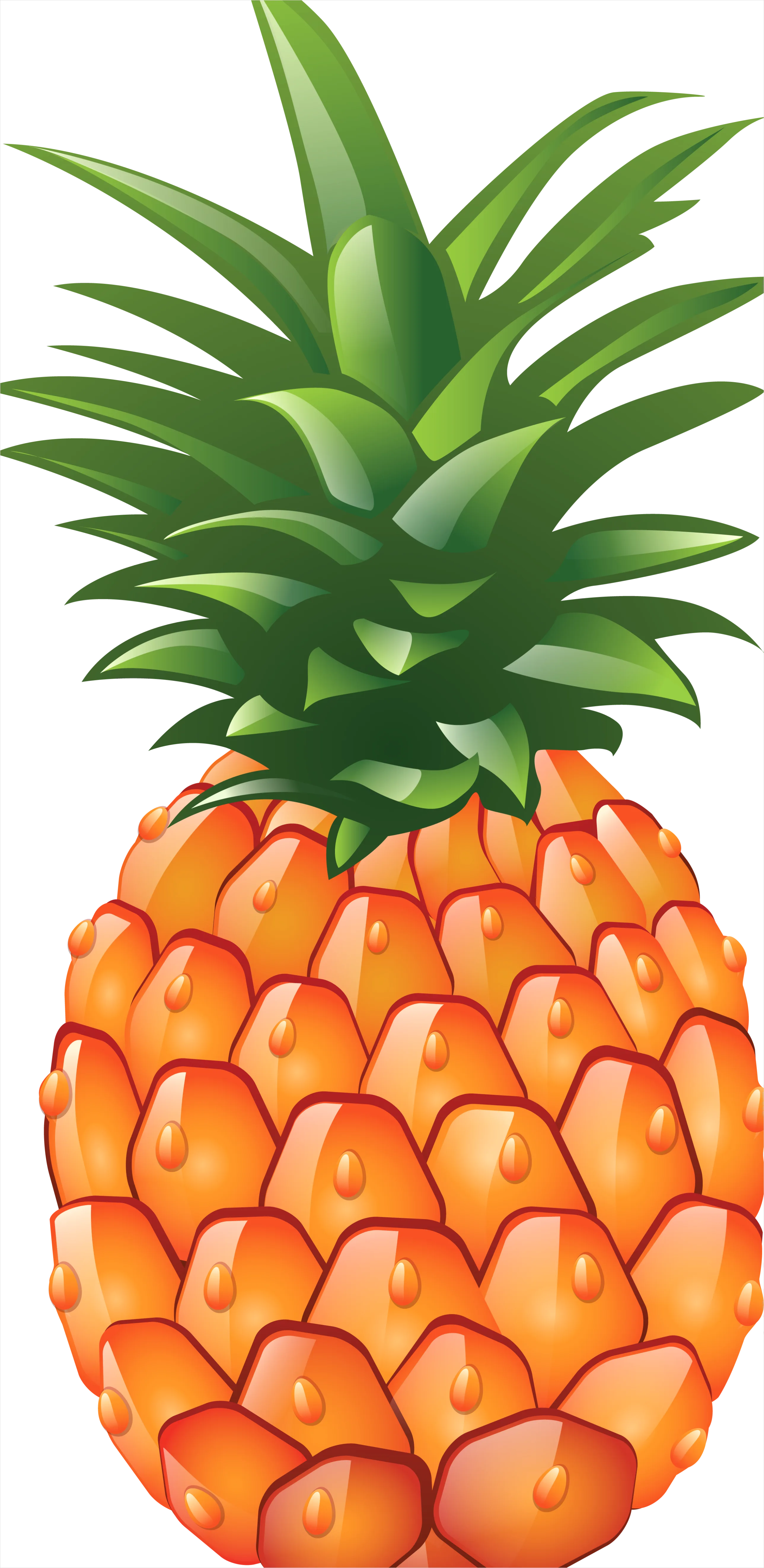 Detail Pineapple Transparent Png Number 5
