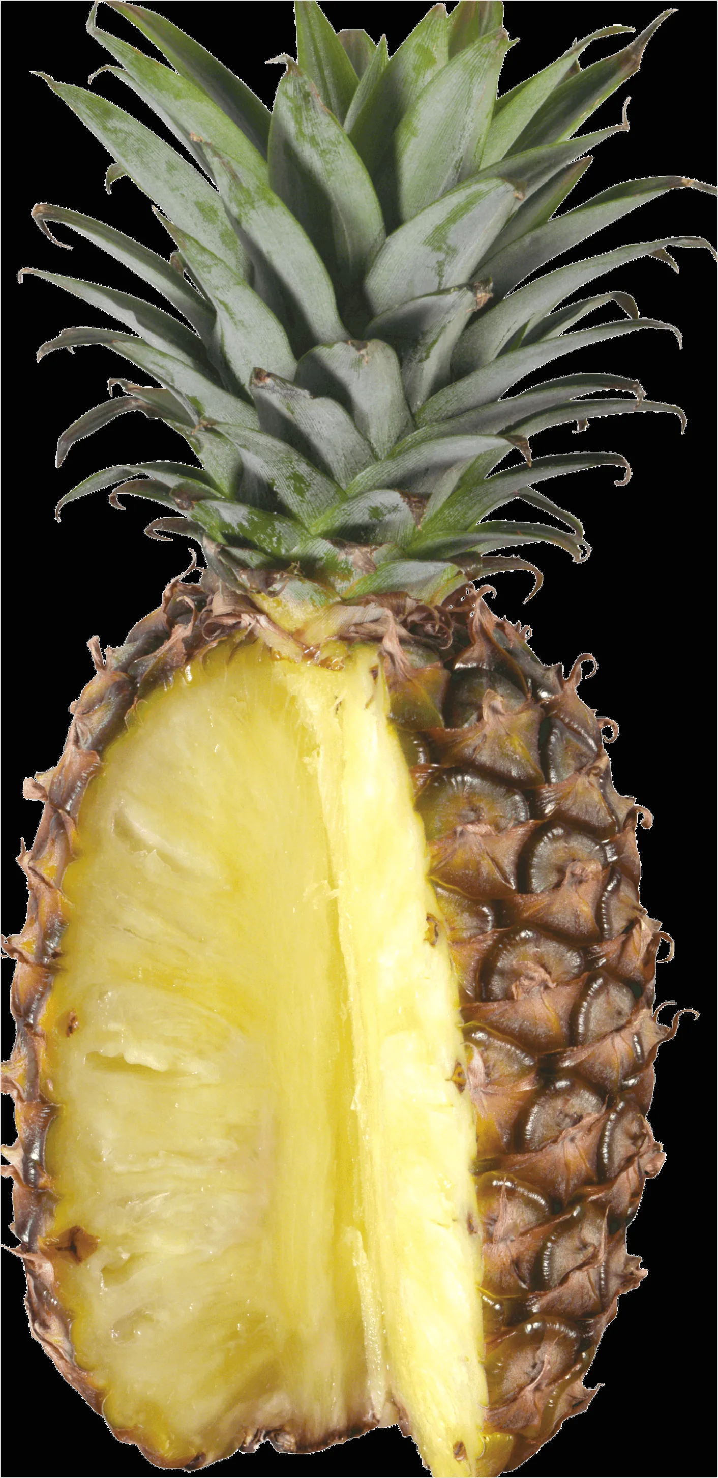 Detail Pineapple Transparent Png Number 8