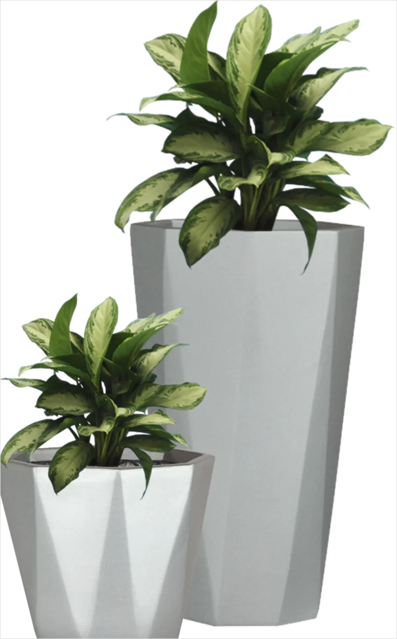Detail Potted Plant Transparent Png Number 2