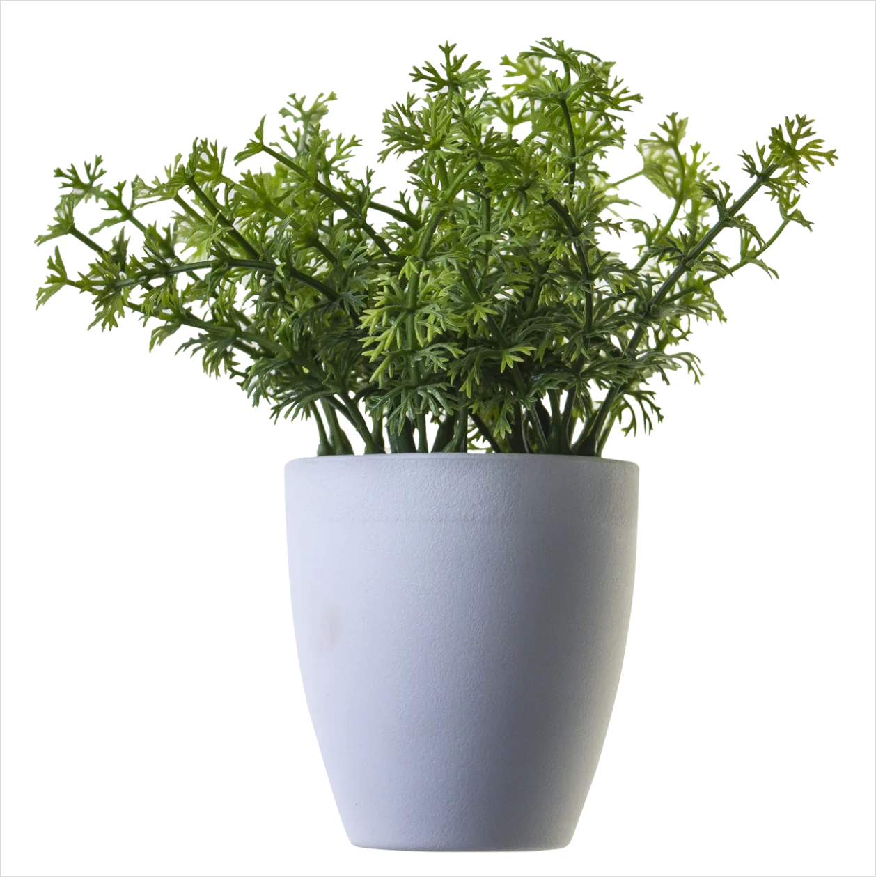Detail Potted Plant Transparent Png Number 3