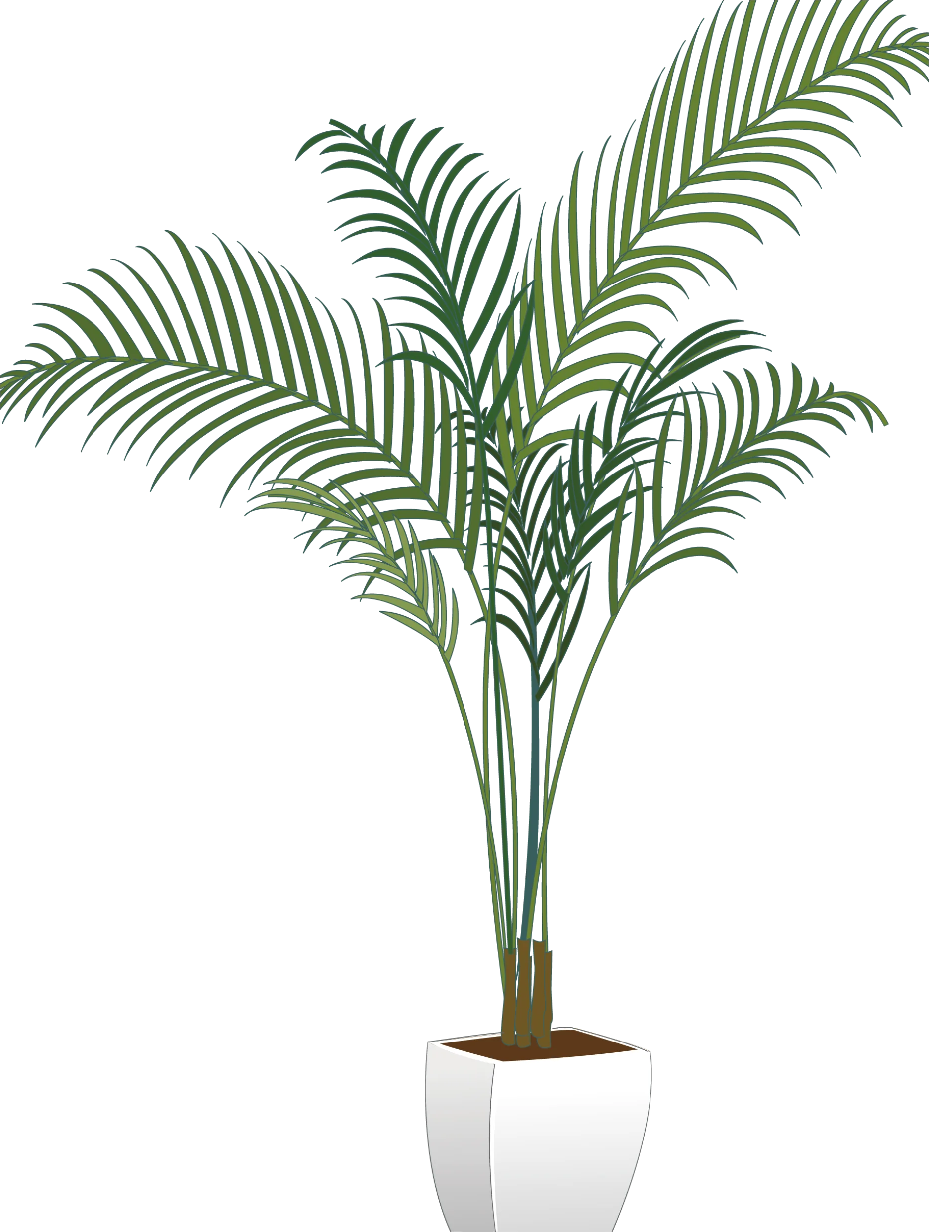 Detail Potted Plant Transparent Png Number 7