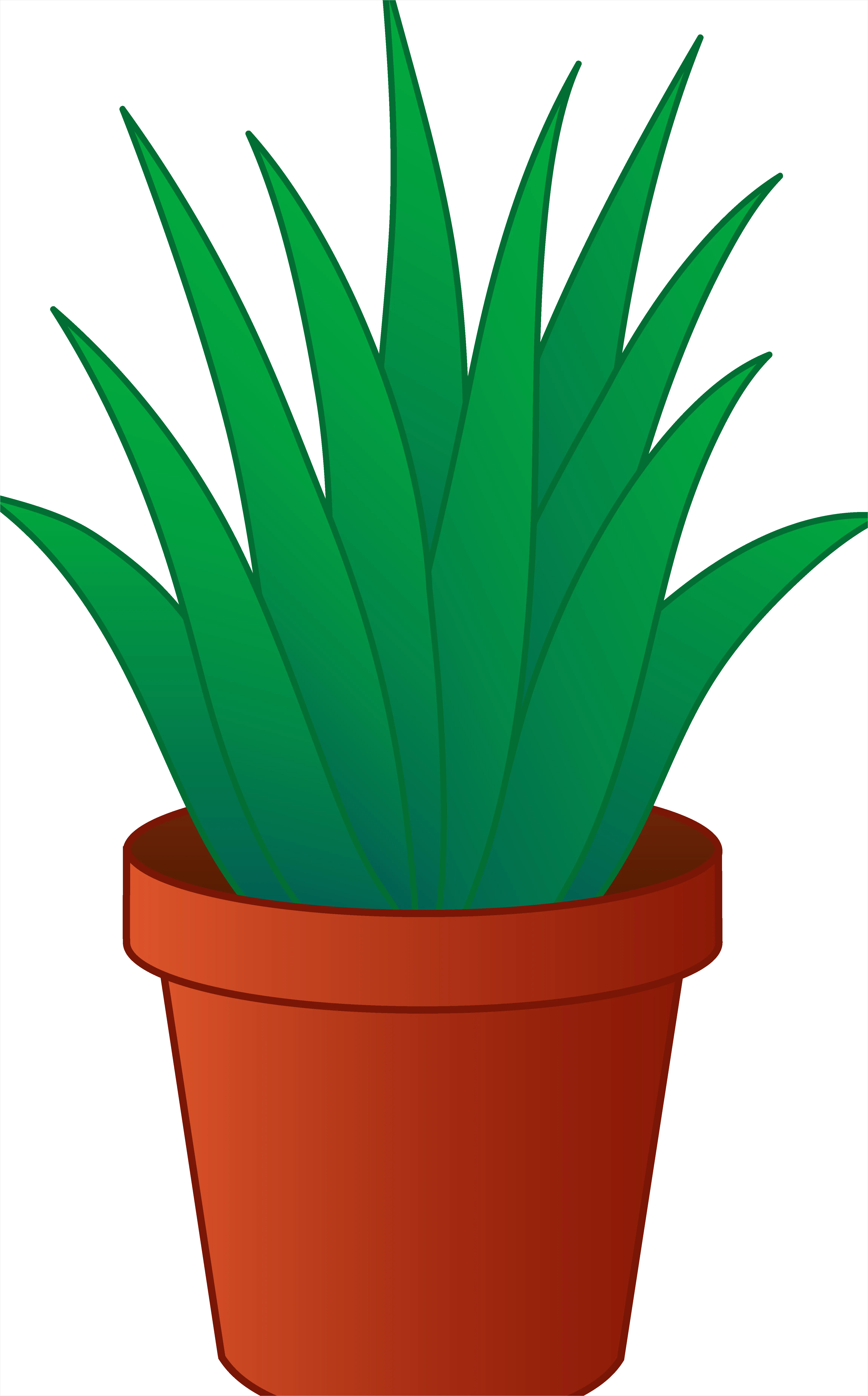 Detail Potted Plant Transparent Png Number 8