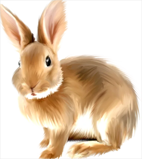 Detail Rabbit Transparent Png Clipart Number 3