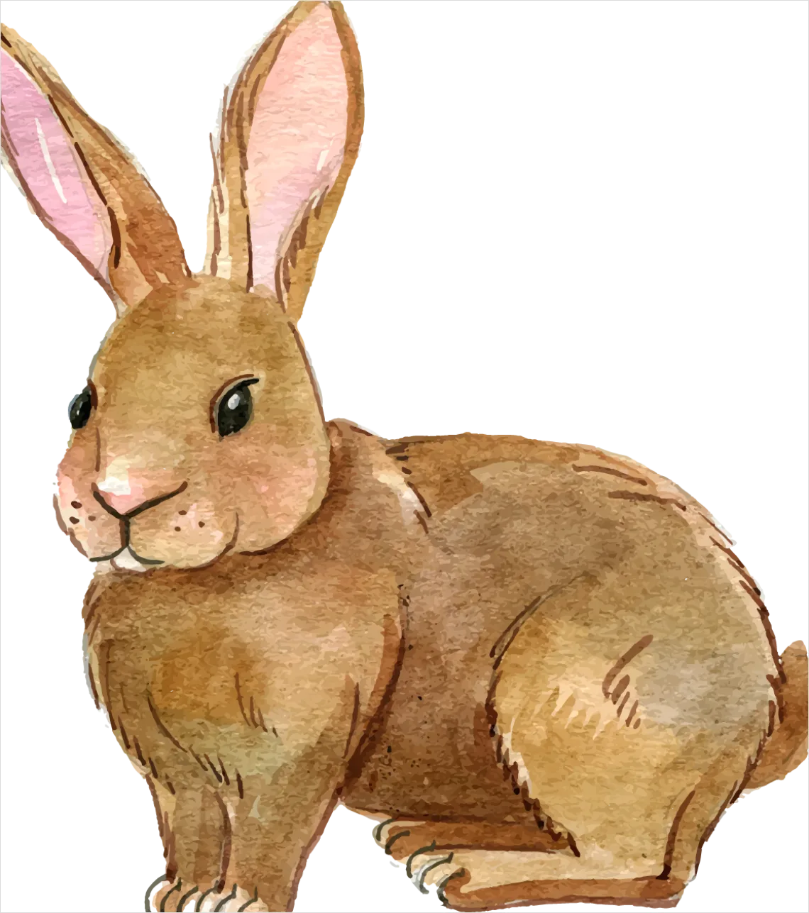 Detail Rabbit Transparent Png Clipart Number 6