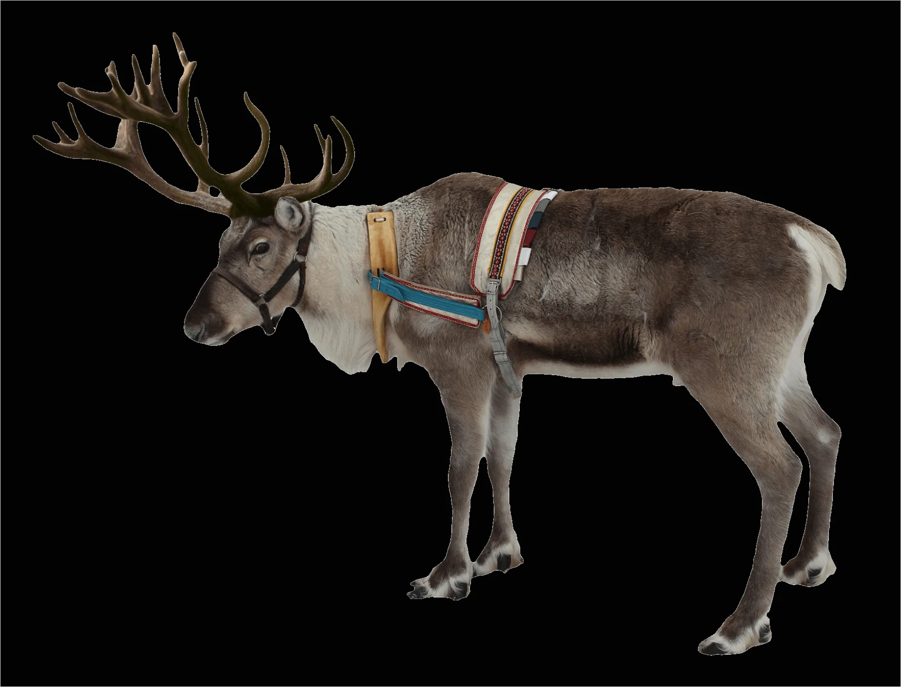Detail Reindeer Transparent Png Number 4