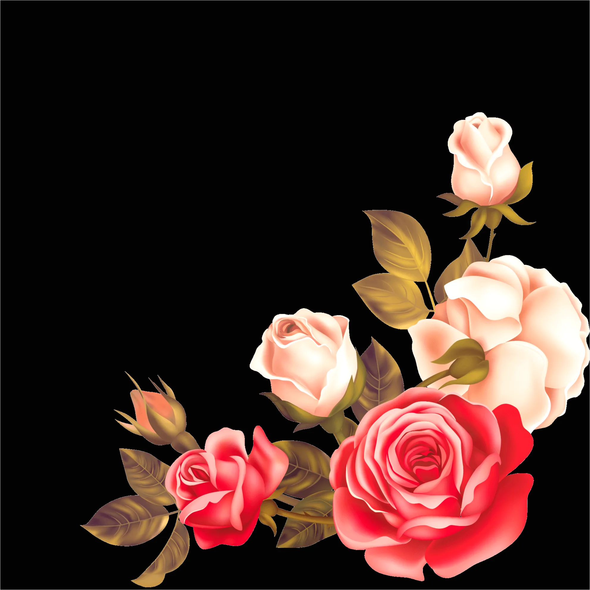 Detail Rose Flower Transparent Png Number 13