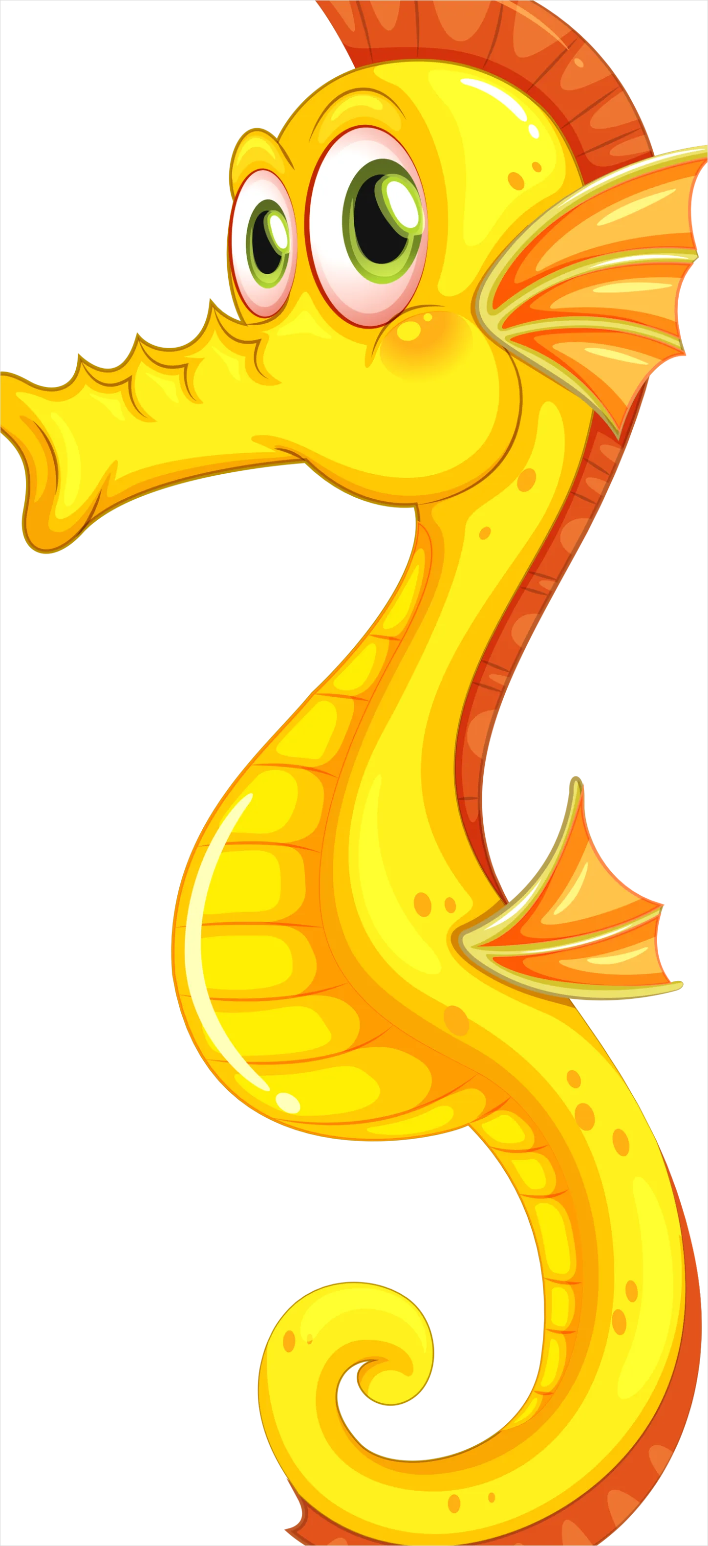Seahorse Transparent Png Clipart 6a47