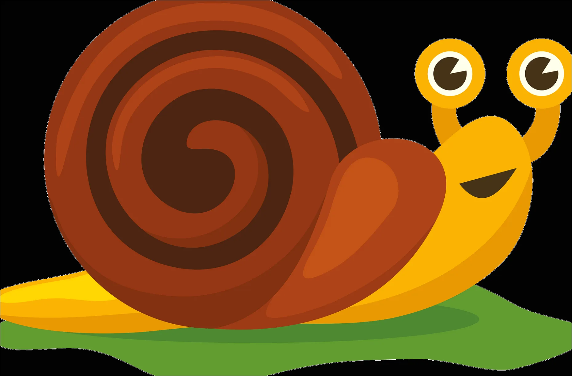 Snail Transparent Png Clipart 1485
