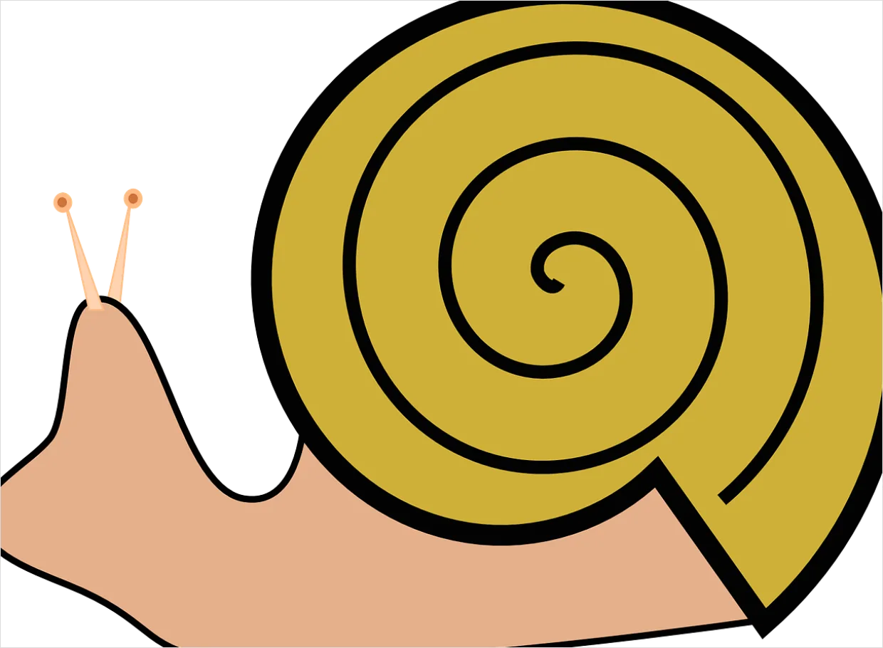 Detail Snail Transparent Png Clipart Number 11