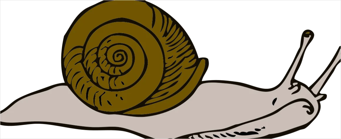 Detail Snail Transparent Png Clipart Number 14