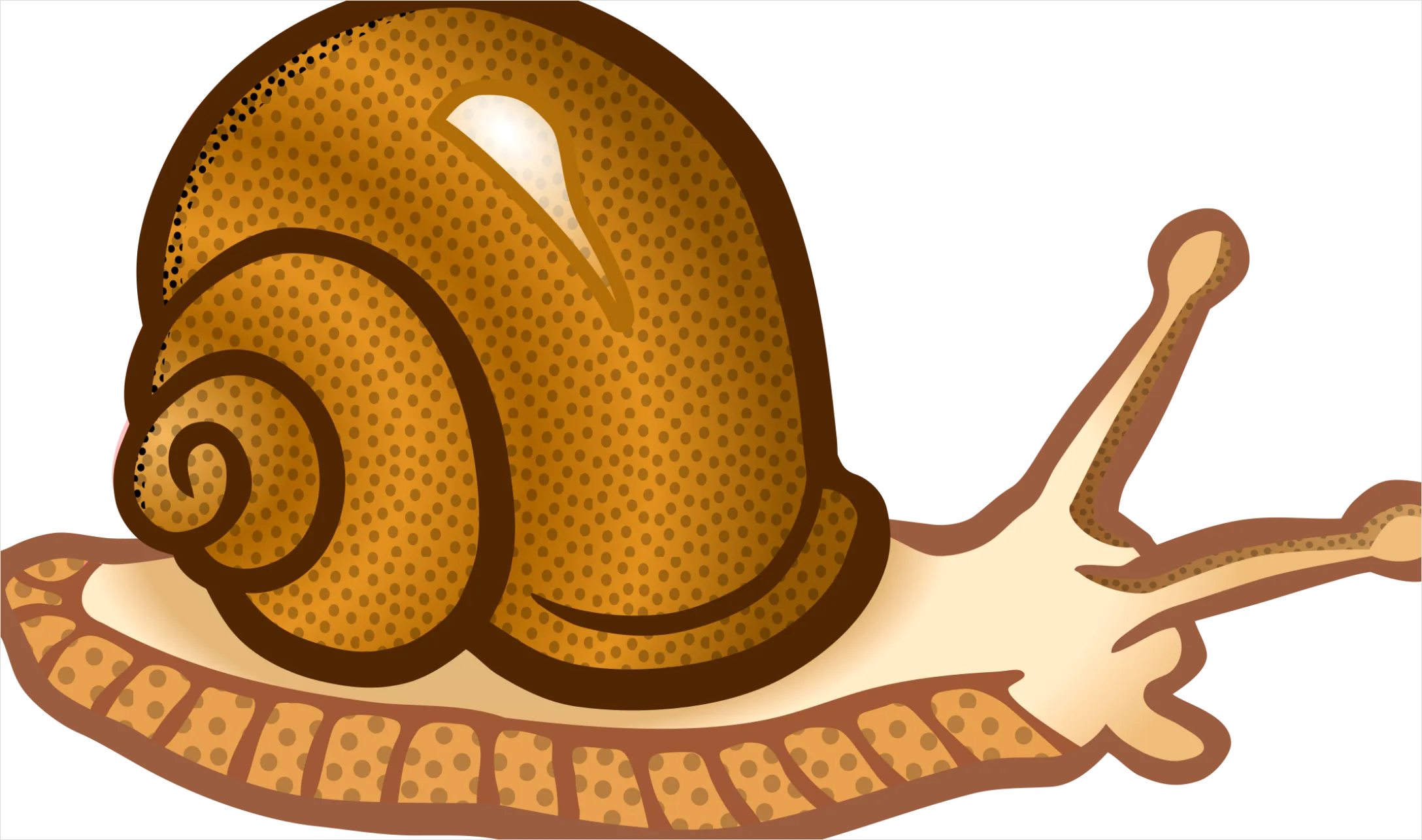 Detail Snail Transparent Png Clipart Number 4