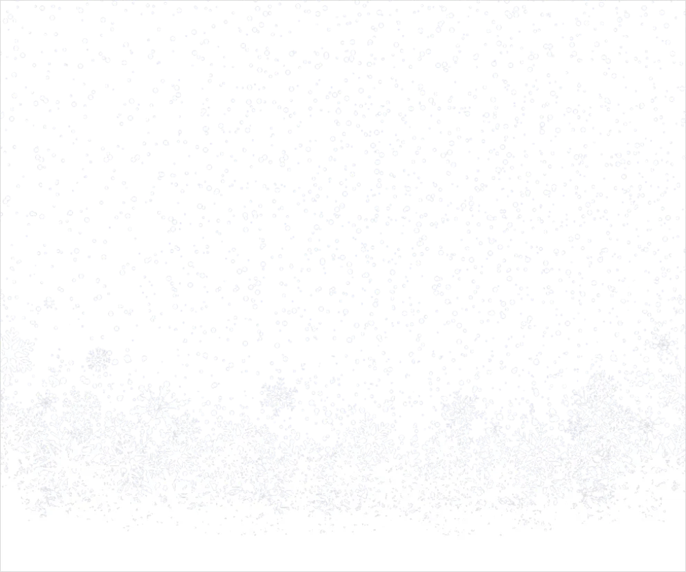 Detail Snow Overlay Transparent Png Number 2