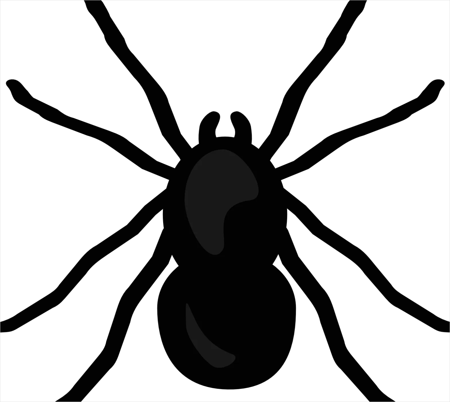 Detail Spider Transparent Png Clipart Number 10