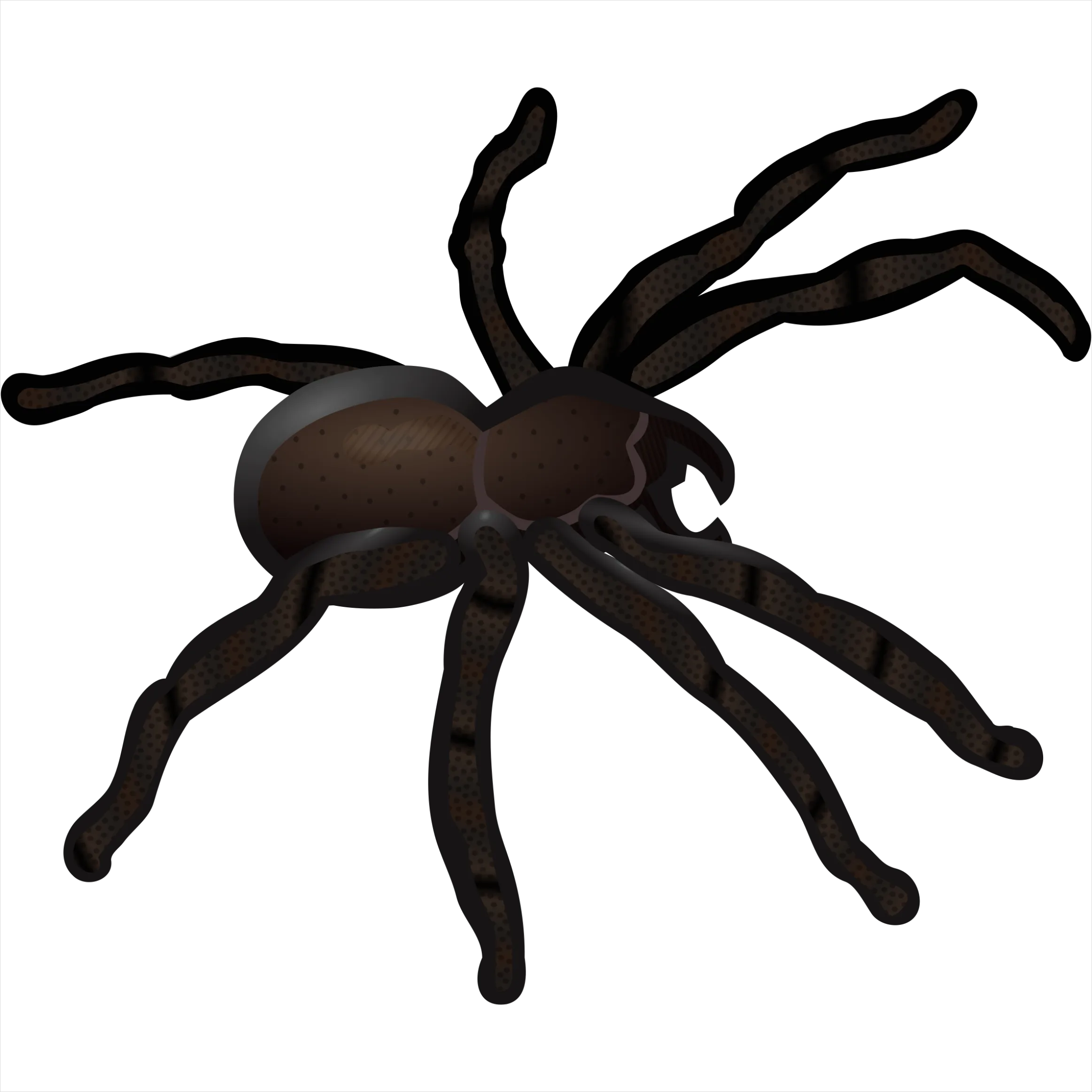 Detail Spider Transparent Png Clipart Number 11