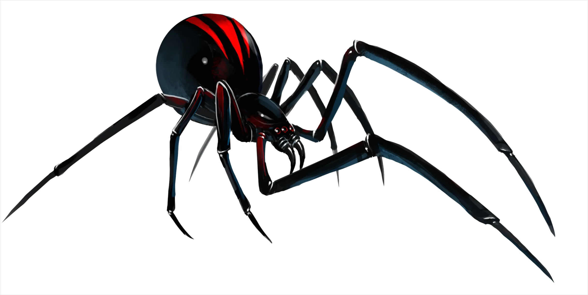 Detail Spider Transparent Png Clipart Number 12