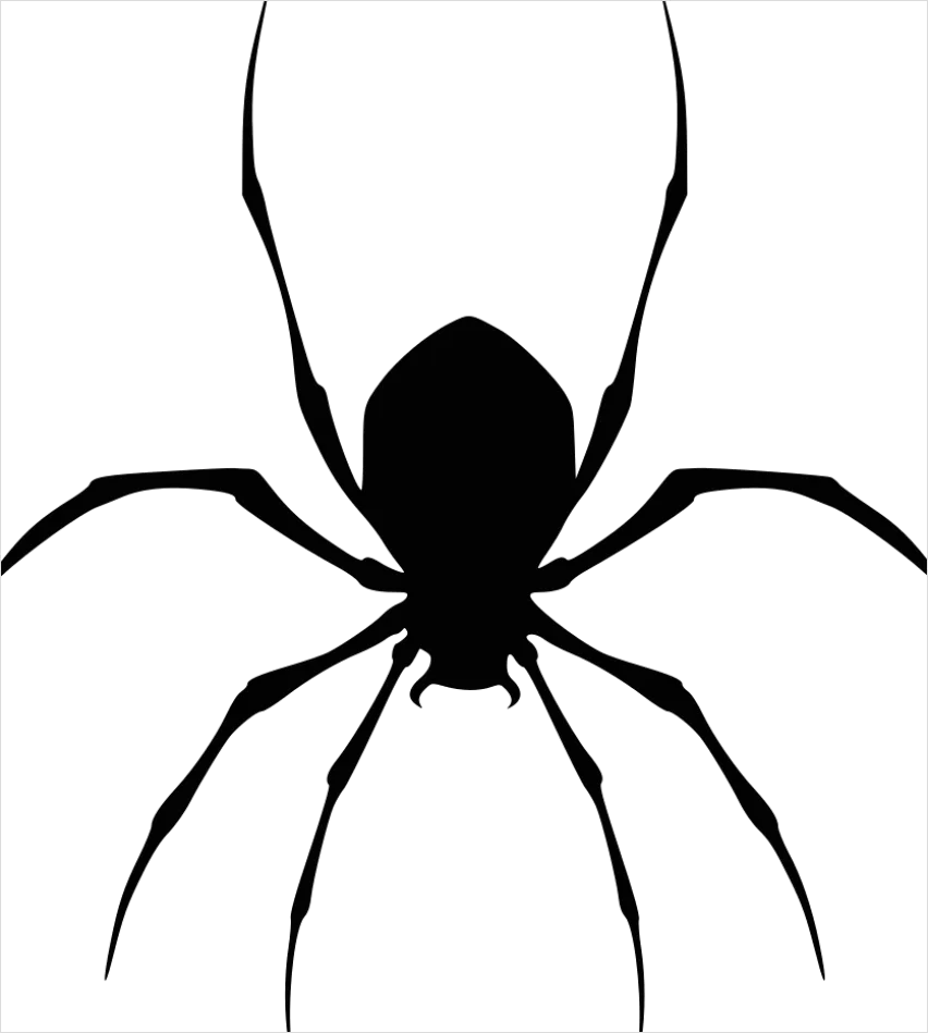 Detail Spider Transparent Png Clipart Number 14