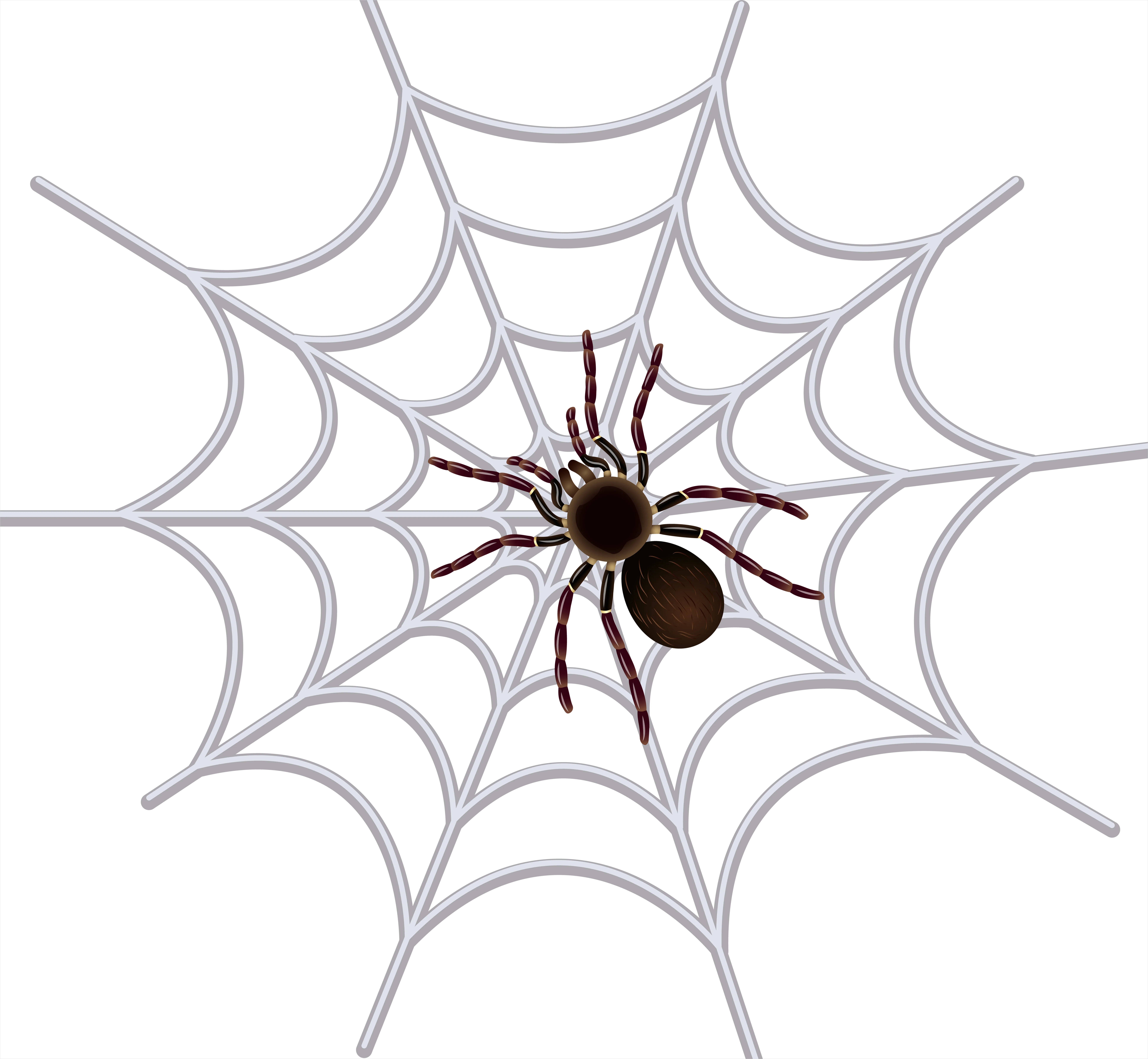 Detail Spider Transparent Png Clipart Number 18