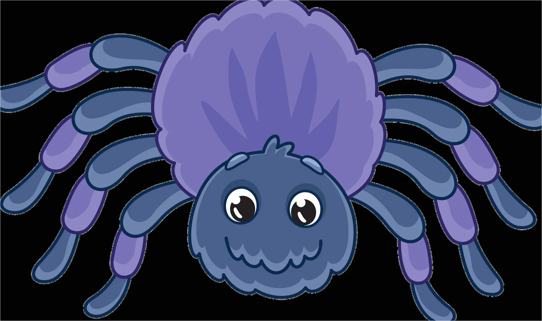 Detail Spider Transparent Png Clipart Number 8