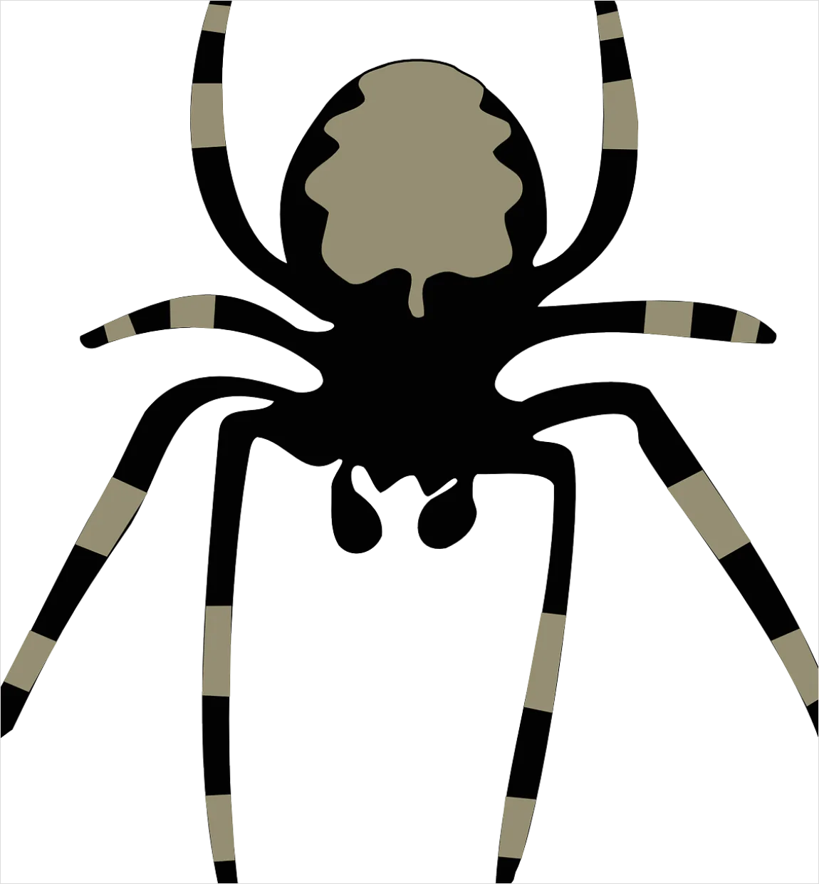 Detail Spider Transparent Png Clipart Number 9