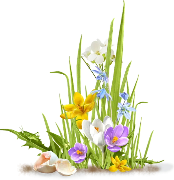 Detail Spring Flowers Transparent Png Number 2