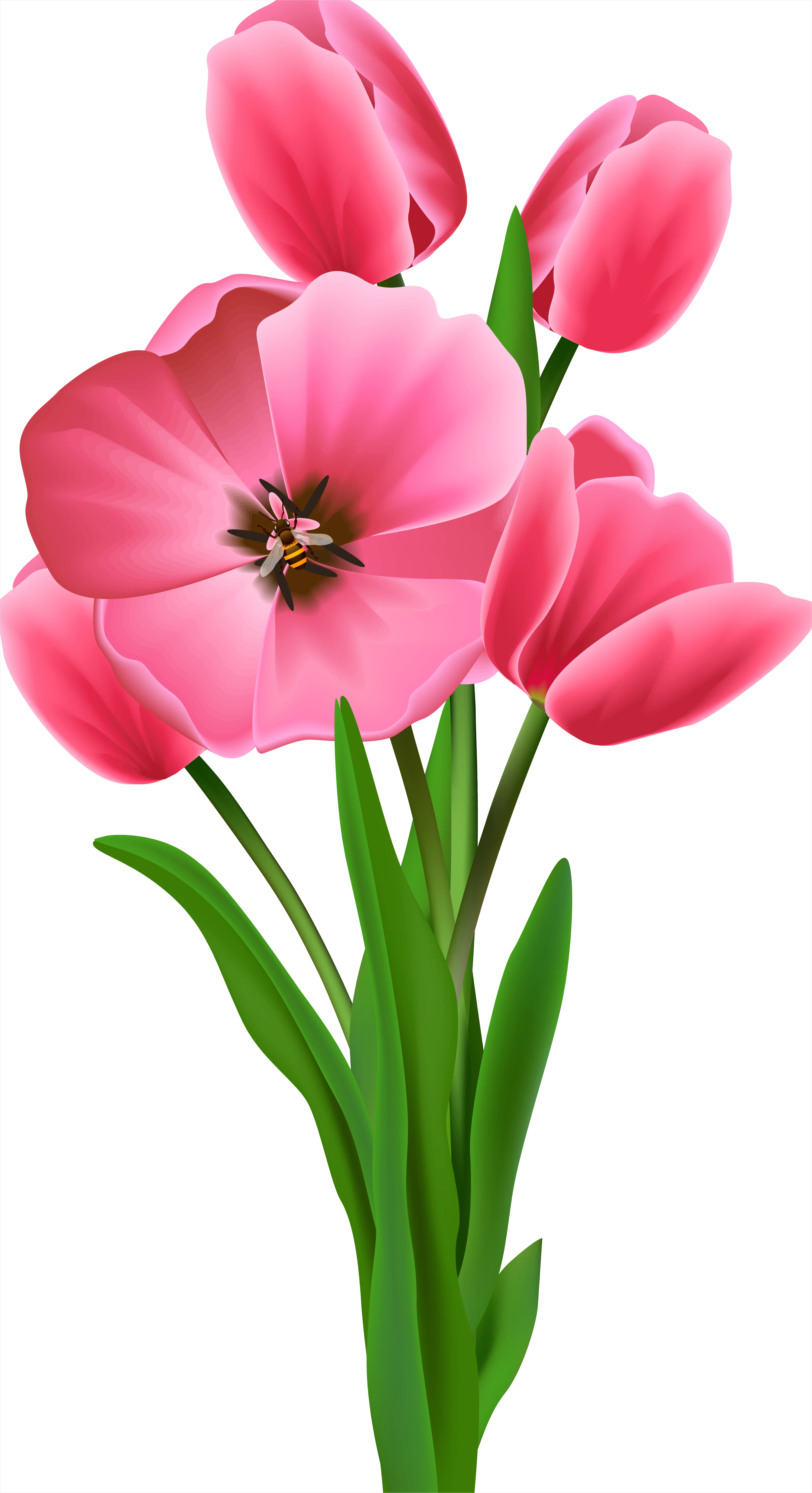 Detail Spring Flowers Transparent Png Number 11