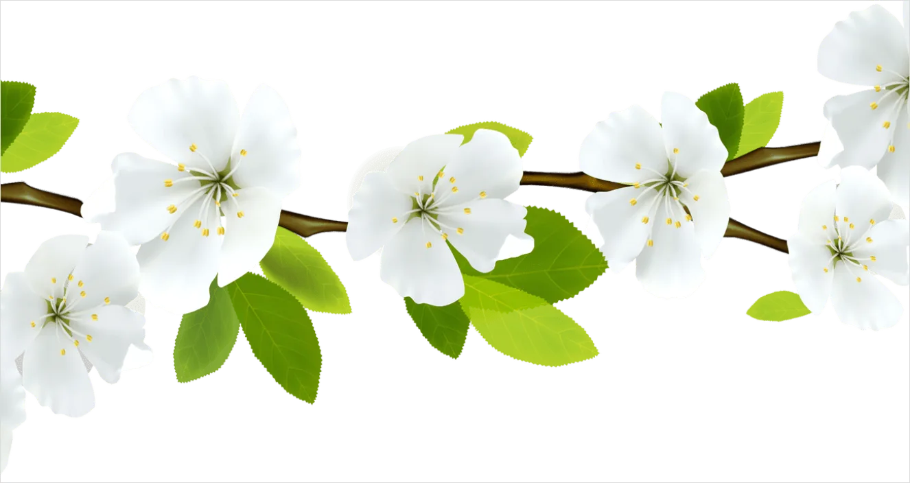 Detail Spring Flowers Transparent Png Number 12