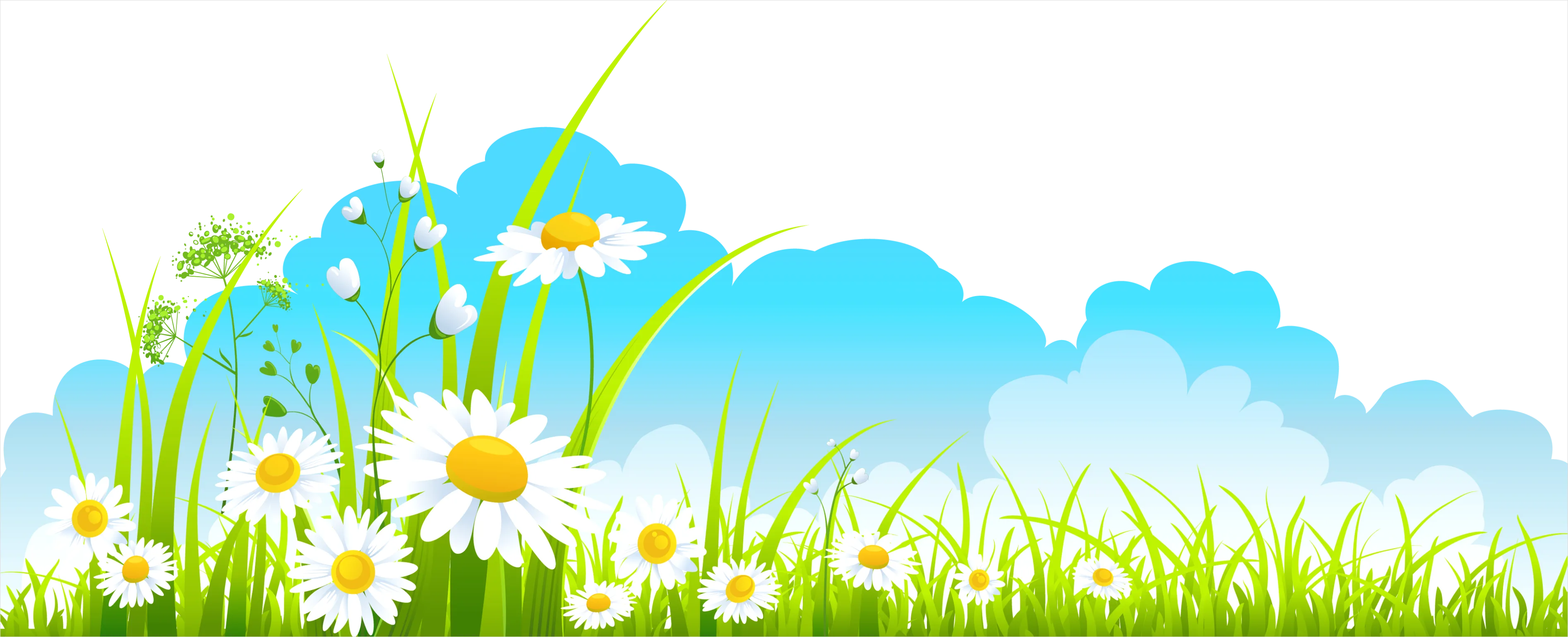 Detail Spring Flowers Transparent Png Number 16