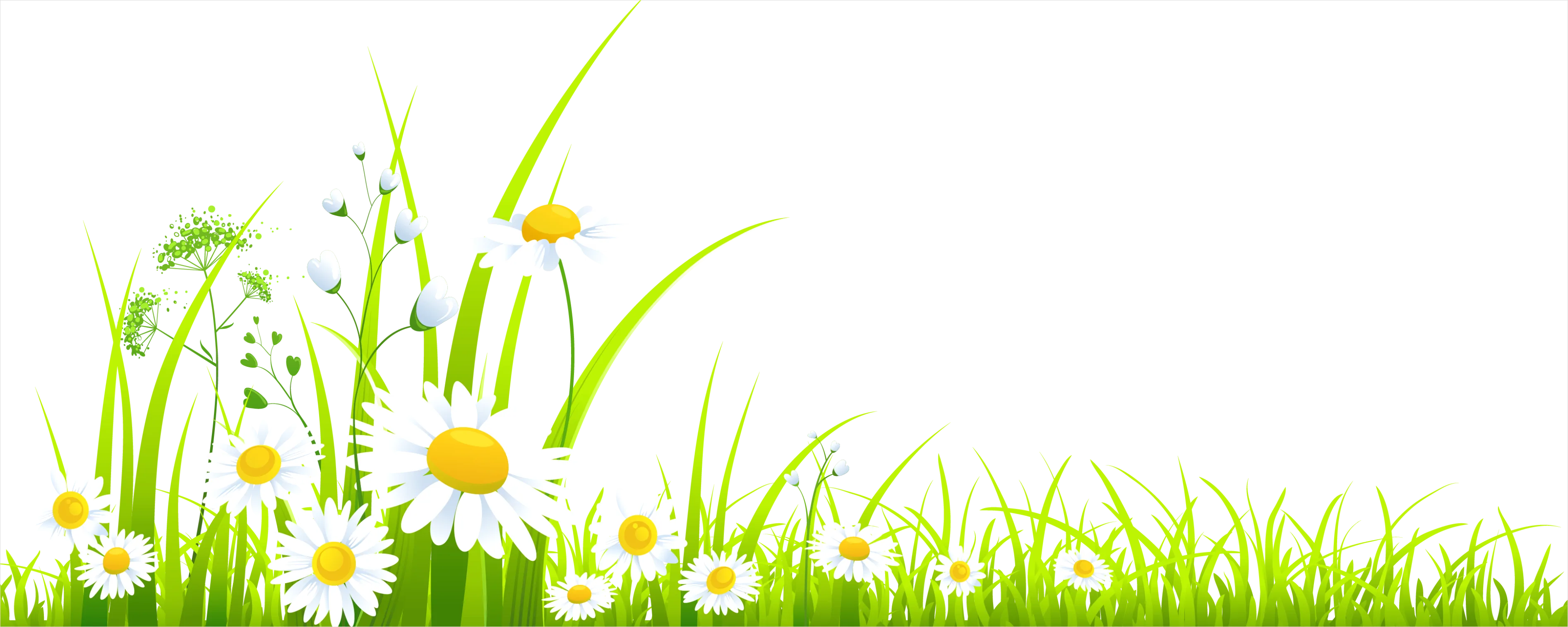 Detail Spring Flowers Transparent Png Number 20