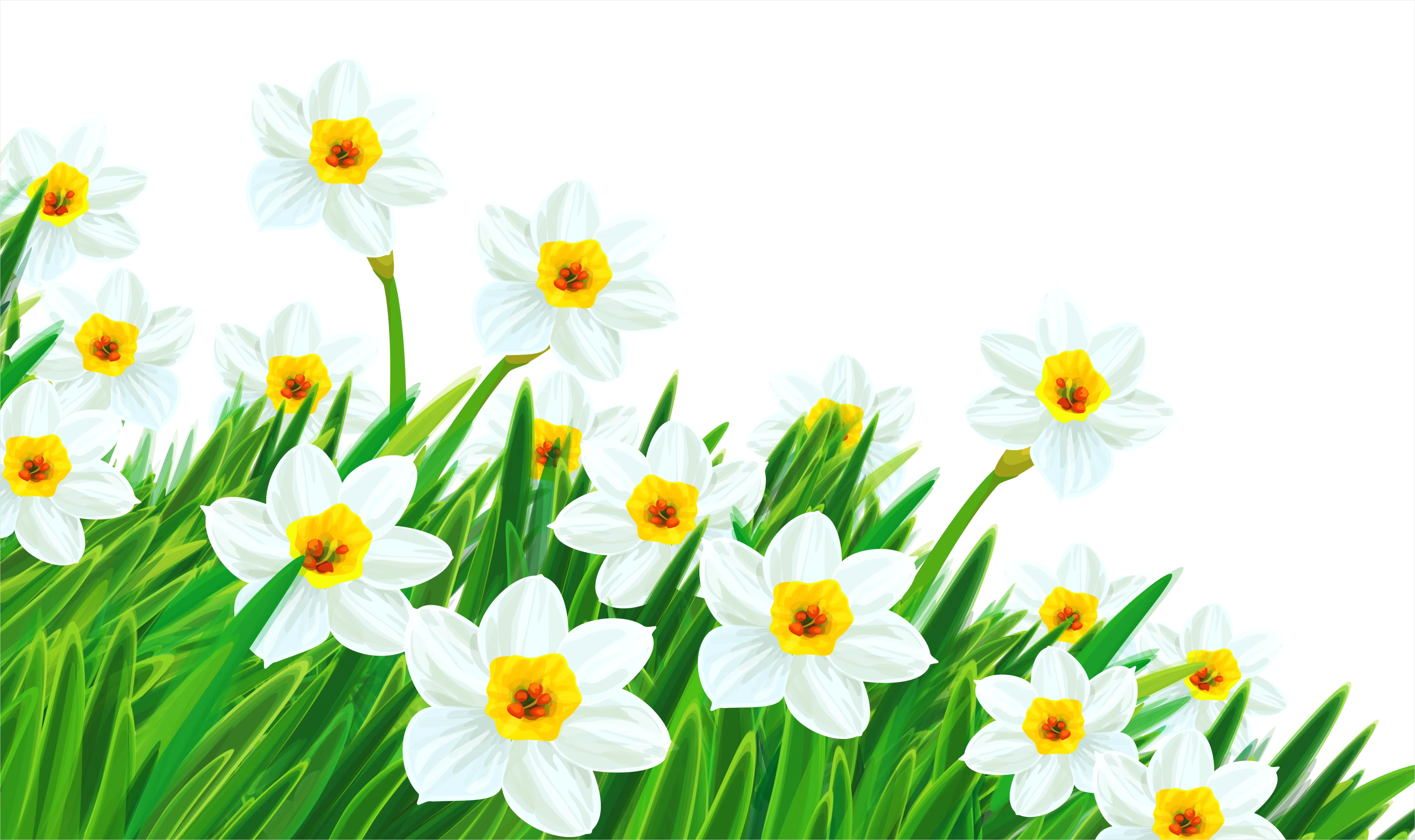 Detail Spring Flowers Transparent Png Number 3