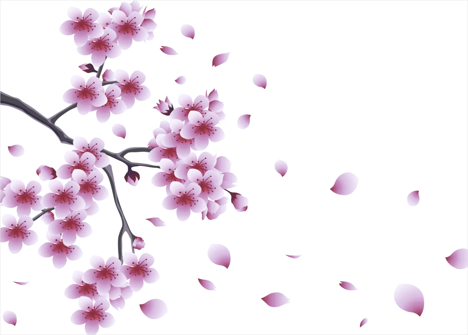 Detail Spring Flowers Transparent Png Number 6