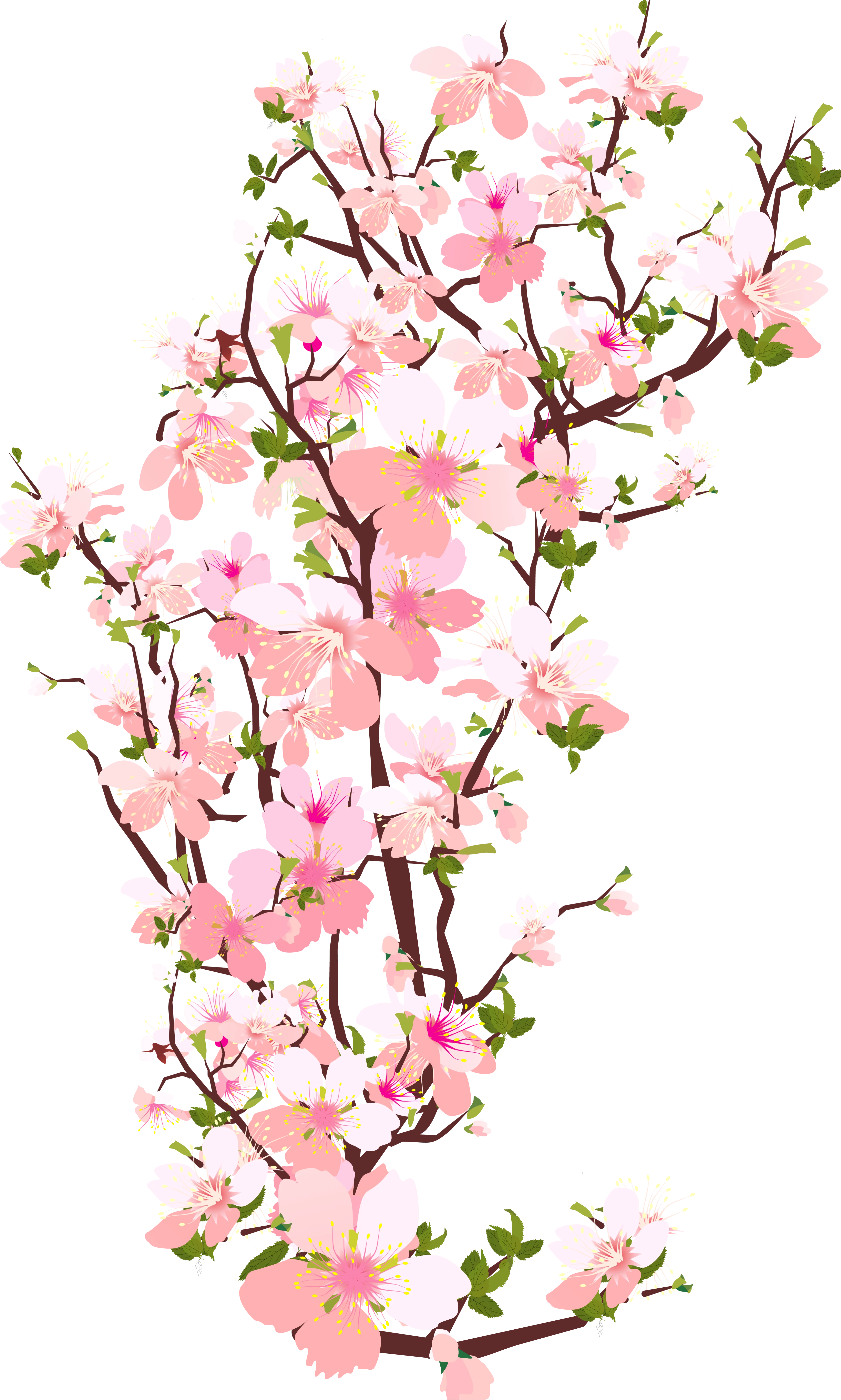 Detail Spring Flowers Transparent Png Number 9