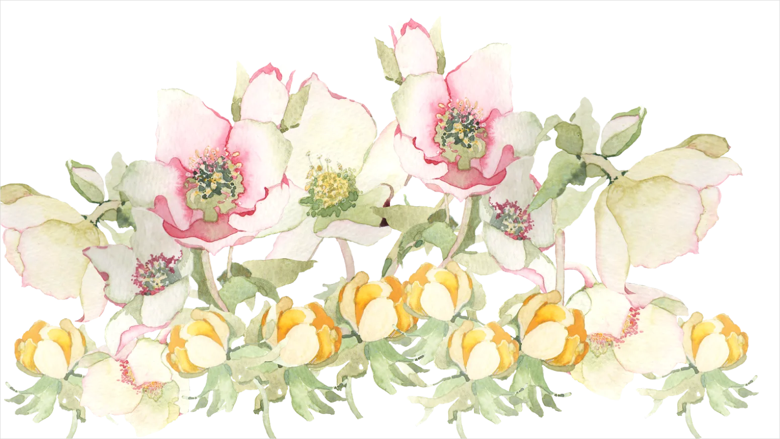 Detail Spring Flowers Transparent Png Number 10