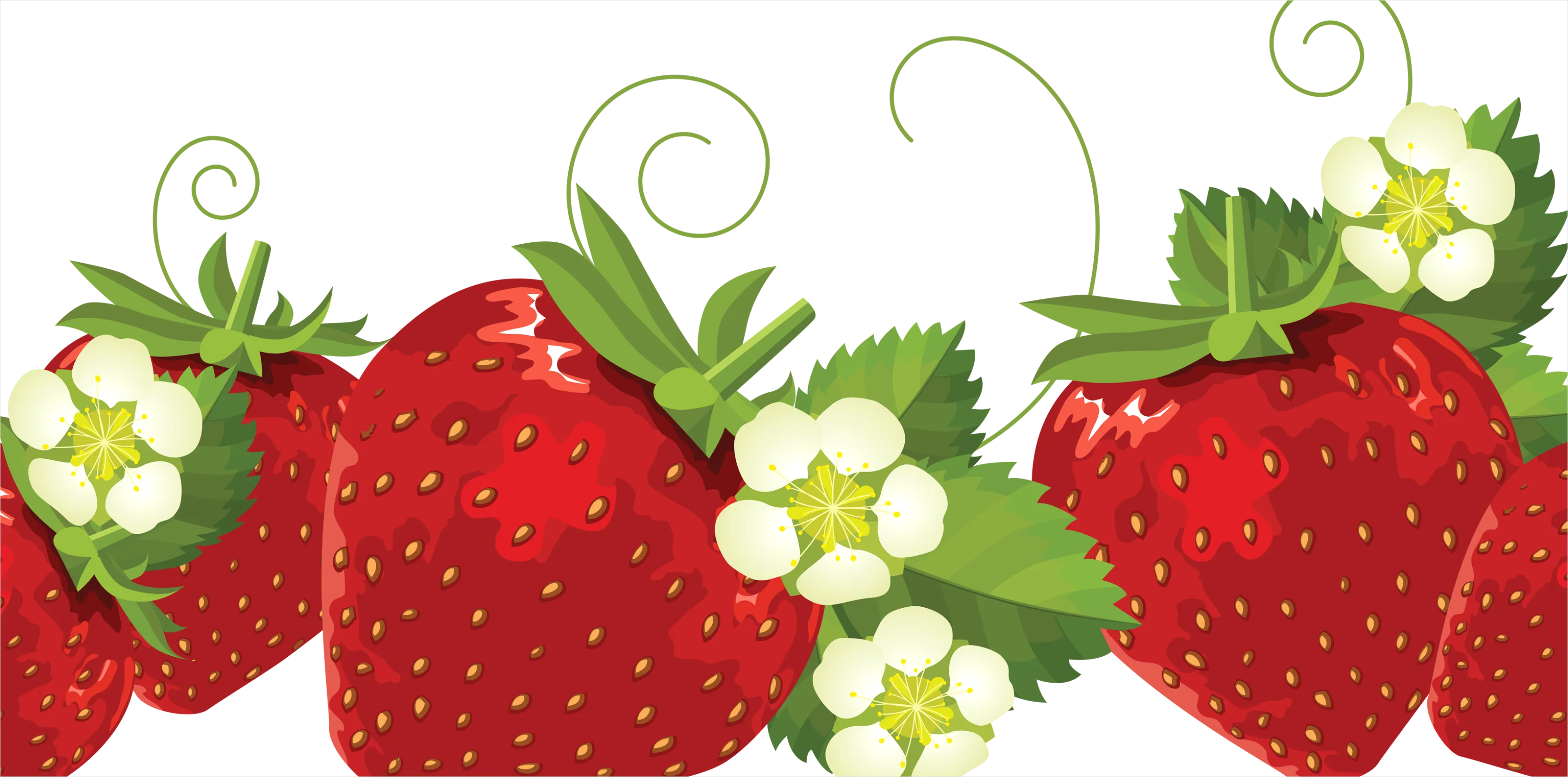 Detail Strawberry Transparent Png Number 8