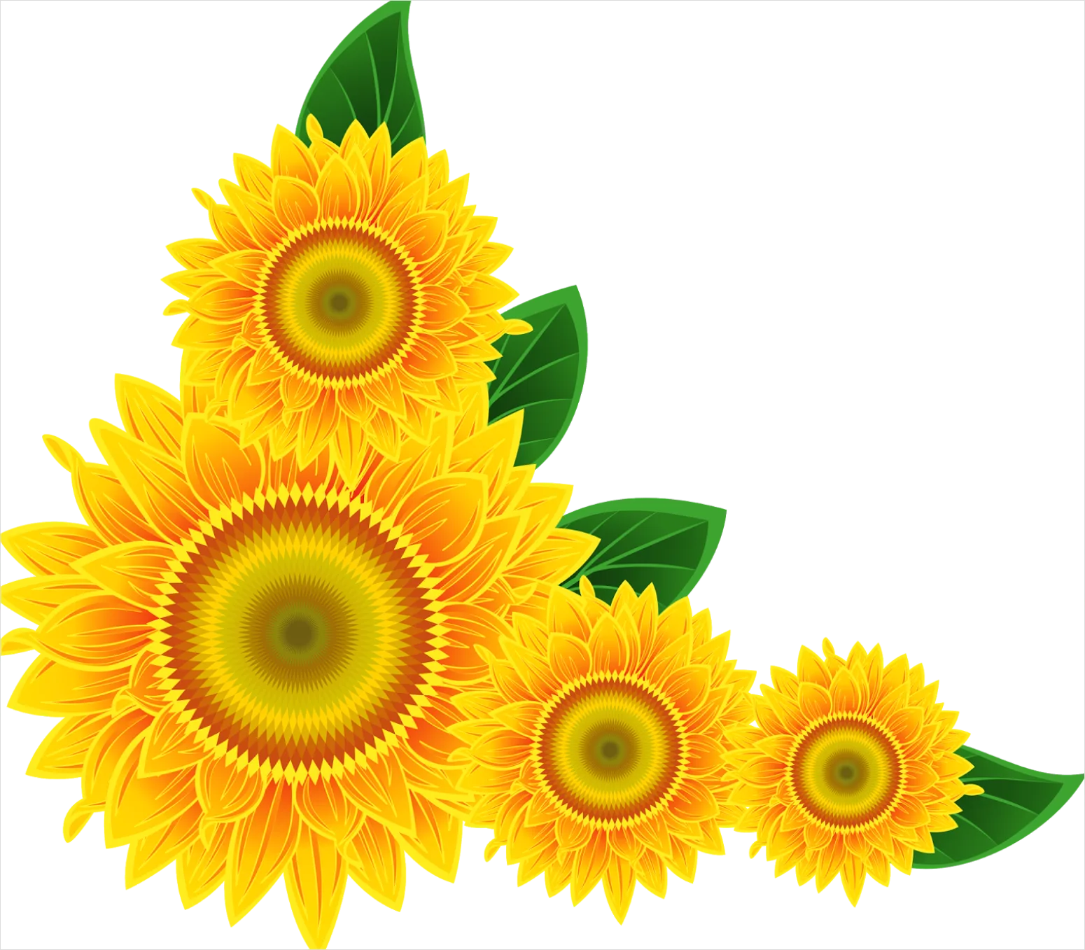 Detail Sunflower Transparent Png Number 18
