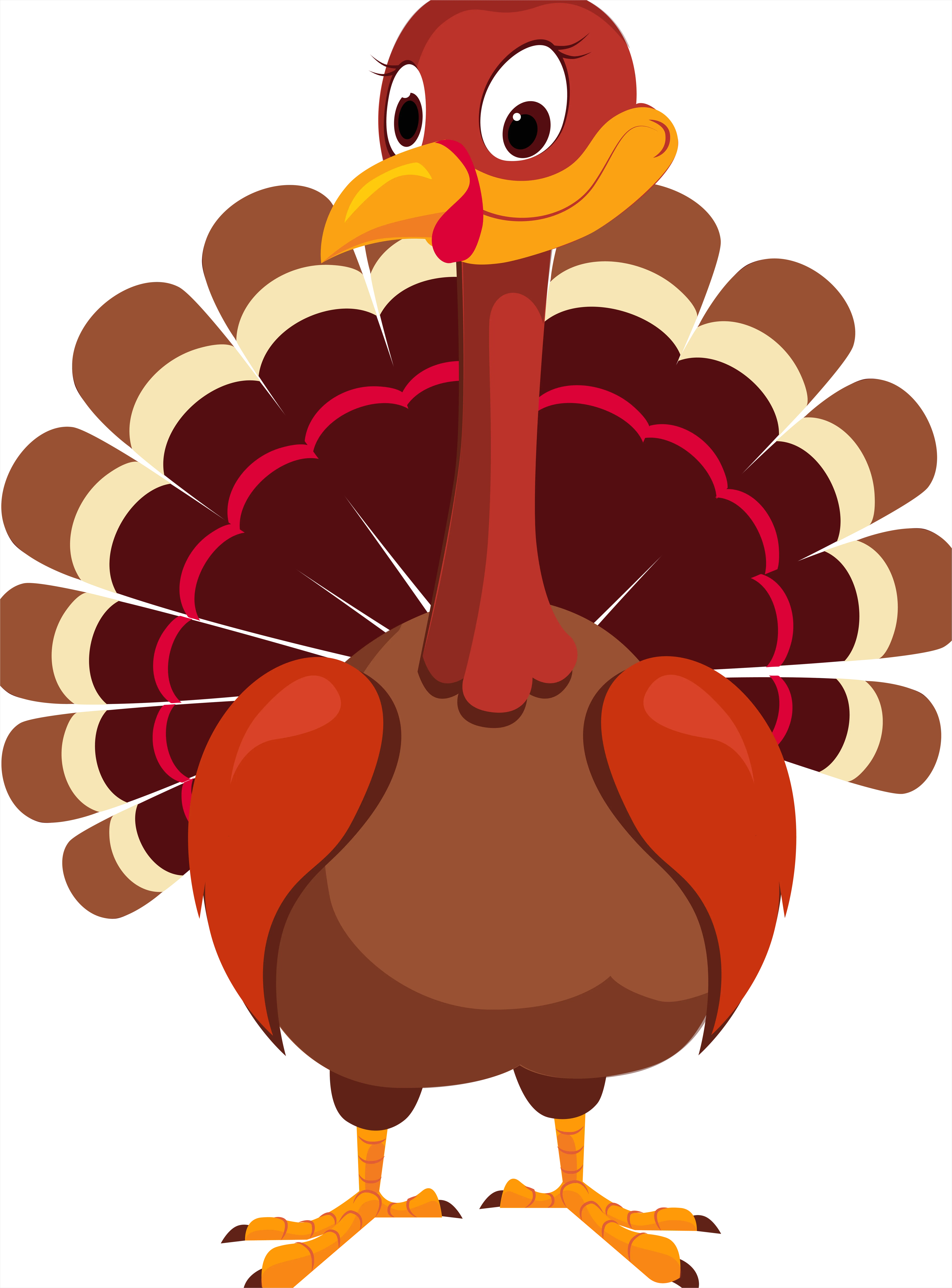 Detail Thanksgiving Turkey Transparent Png Number 15