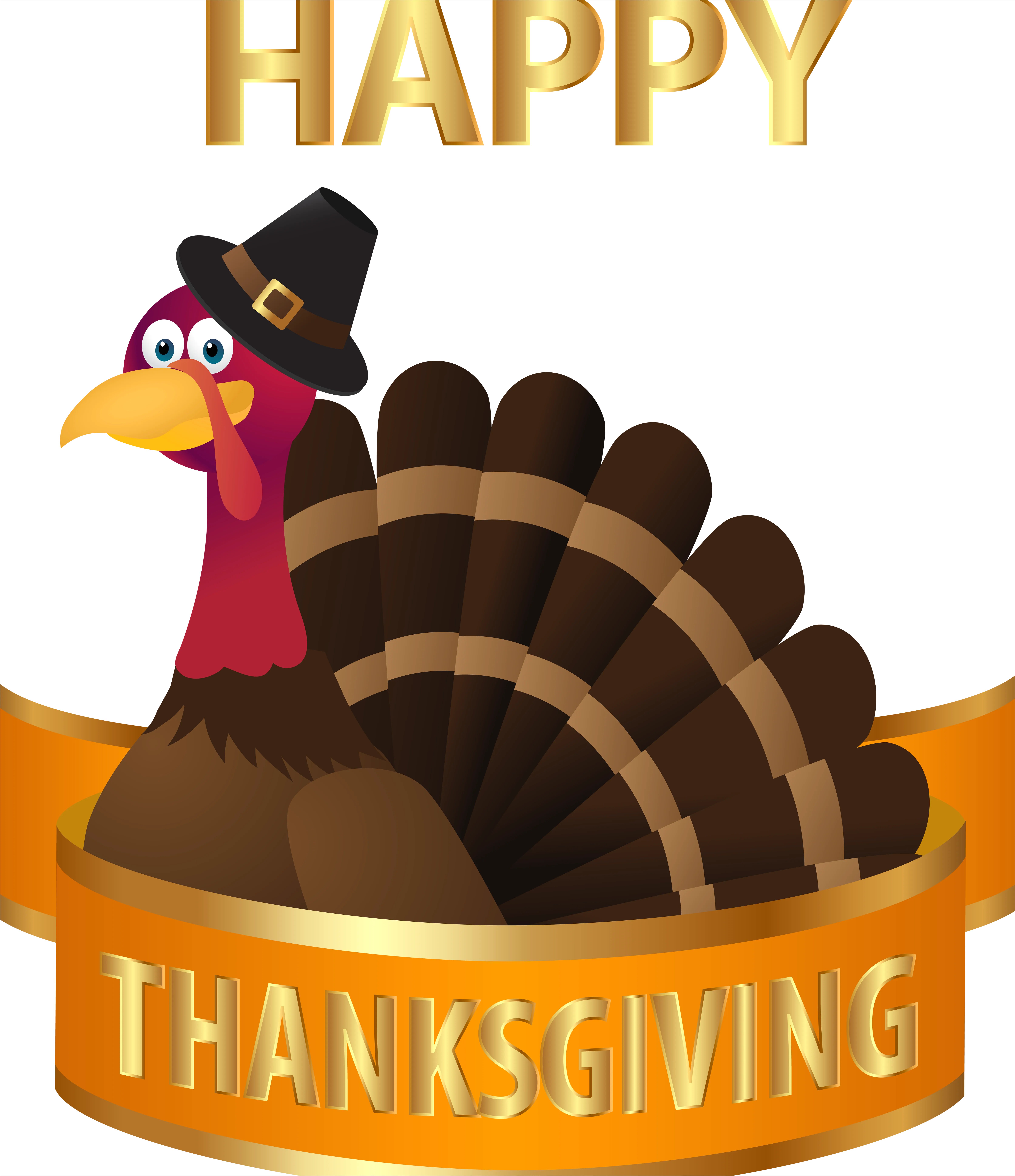 Detail Thanksgiving Turkey Transparent Png Number 16