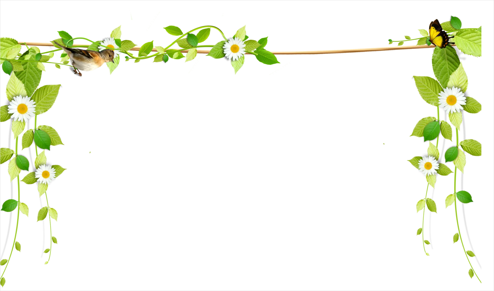 Detail Vine Border Transparent Png Number 4