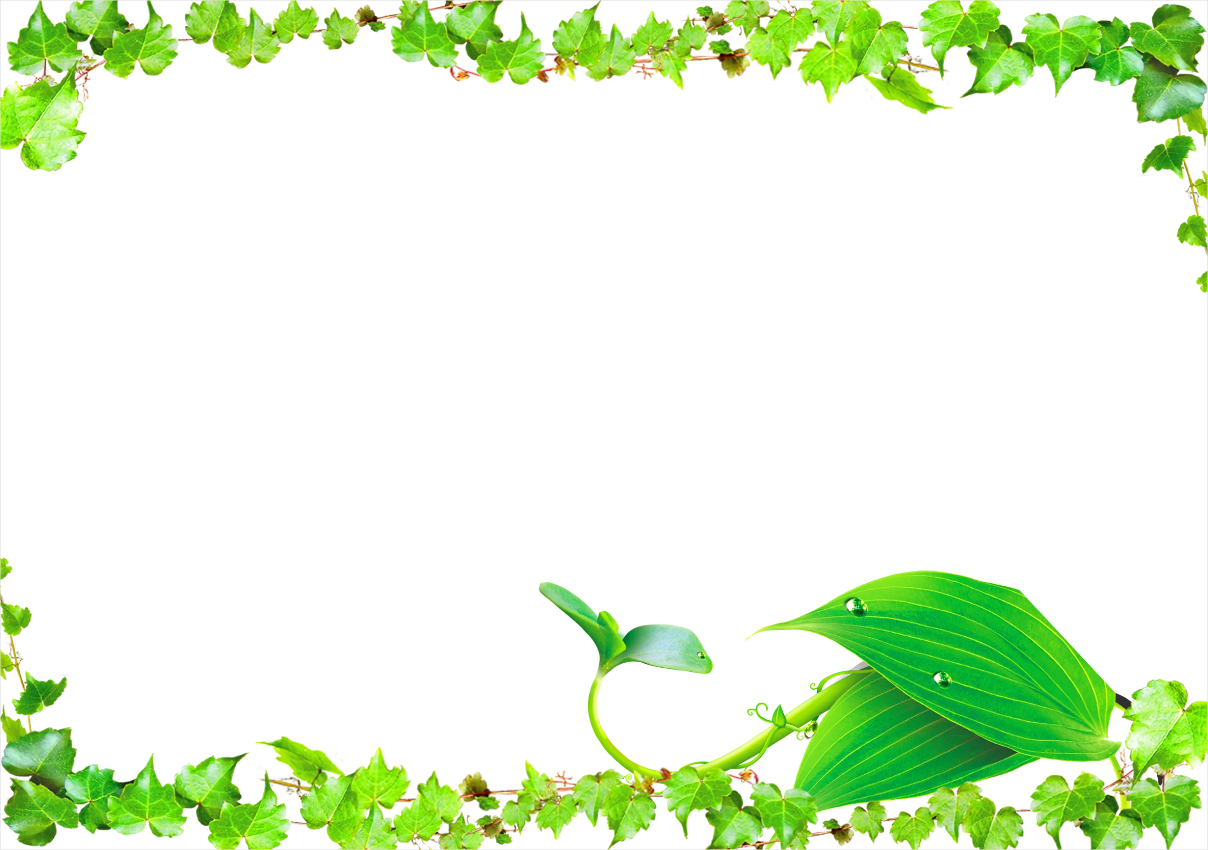 Detail Vine Border Transparent Png Number 5