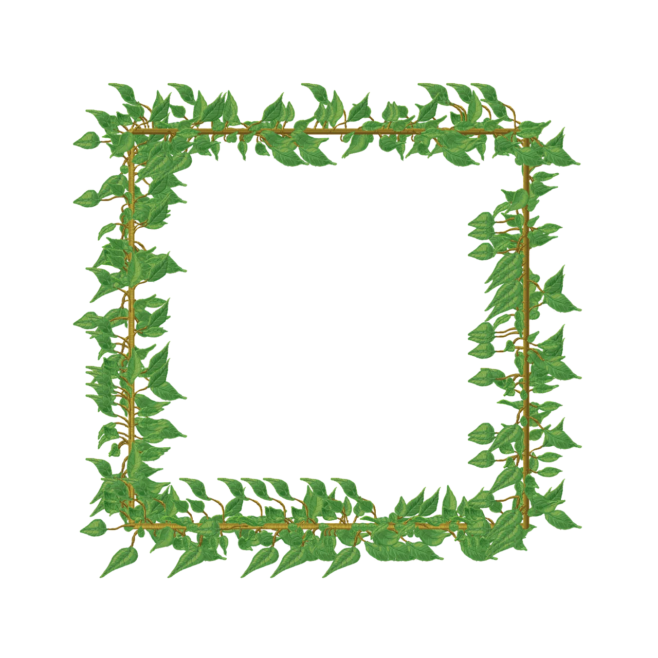 Detail Vine Border Transparent Png Number 7